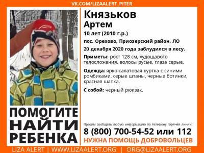 В Орехово 10-летний мальчик заблудился в лесу - ivbg.ru - Ленобласть