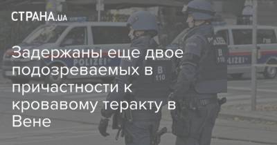 Австрия - Задержаны еще двое подозреваемых в причастности к кровавому теракту в Вене - strana.ua - Вена