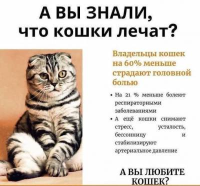 ​Как кошки лечат - skuke.net