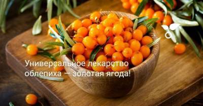 Универсальное лекарство облепиха — золотая ягода! - skuke.net