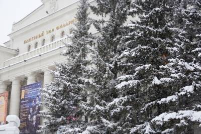 Лютые морозы до -38 градусов придут в Новосибирск - novos.mk.ru - Новосибирск - Новосибирская обл.