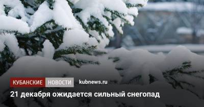 Вениамин Кондратьев - 21 декабря ожидается сильный снегопад - kubnews.ru - Сочи - Краснодарский край