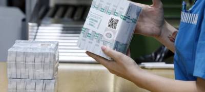 Власти Петрозаводска решили, как потратить дополнительные полмиллиарда рублей - stolicaonego.ru - Петрозаводск