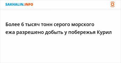 Более 6 тысяч тонн серого морского ежа разрешено добыть у побережья Курил - sakhalin.info - Сахалинская обл.