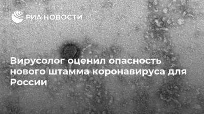 Алексей Аграновский - Вирусолог оценил опасность нового штамма коронавируса для России - ria.ru - Москва - Россия - Англия - Австралия - Дания - Голландия