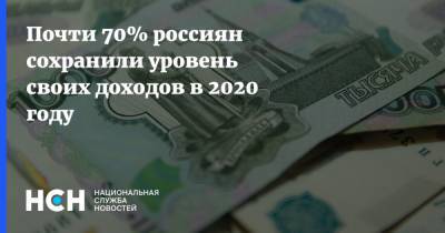 Почти 70% россиян сохранили уровень своих доходов в 2020 году - nsn.fm