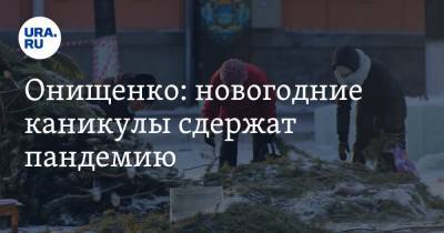 Геннадий Онищенко - Онищенко: новогодние каникулы сдержат пандемию - ura.news