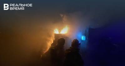 В Лаишевском районе РТ на пожаре в частном доме погиб человек - realnoevremya.ru - респ. Татарстан - район Лаишевский