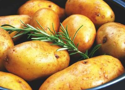 Медики назвали полезные свойства картофеля для здоровья - lenta.ua