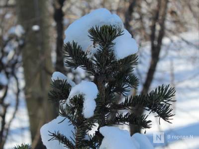 Потепление до -3°С и снегопады придут в Нижний Новгород - vgoroden.ru - Нижний Новгород - Нижний Новгород