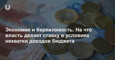 Экономия и бережливость. На что власть делает ставку в условиях нехватки доходов бюджета - news.tut.by