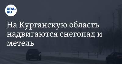 На Курганскую область надвигаются снегопад и метель - ura.news - Курганская обл.