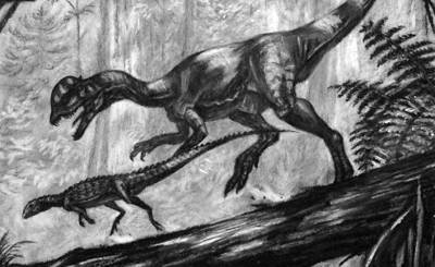 Science (США): настоящие дилофозавры съели бы Парк юрского периода в один присест - inosmi.ru - США - шт. Колорадо - шт. Аризона