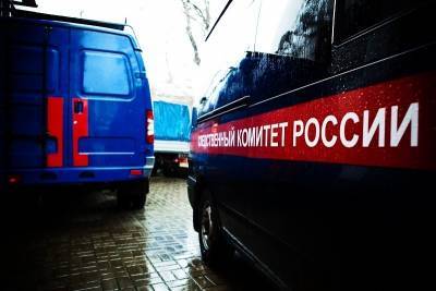 Убитая мужем нижегородка перед гибелью обращалась к правоохранителям - vgoroden.ru - Нижний Новгород