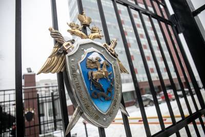 СКР забрал у полиции материалы проверки по избиению семьи в Петербурге - znak.com - Санкт-Петербург - р-н. Московский