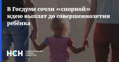 Олег Шеин - Сергей Катасонов - В Госдуме сочли «спорной» идею выплат до совершеннолетия ребёнка - nsn.fm