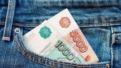 Подсчитано число россиян, столкнувшихся с сокращением доходов в пандемию - smartmoney.one