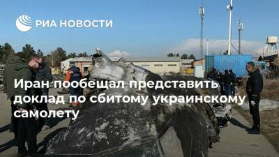 Саид Хатибзаде - Иран пообещал представить доклад по сбитому украинскому самолету - ria.ru - США - Украина - Швеция - Иран - Тегеран
