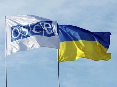 Из-за ранения тракториста на Донбассе в ОБСЕ направлена нота – украинская делегация в ТКГ - gordonua.com - Донецкая обл.