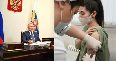 Владимир Путин - Путин отметил эффективность одновременного применения вакцин РФ и США - ren.tv - Россия - США