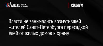 Вера - Власти не занимались возмутившей жителей Санкт-Петербурга пересадкой елей от жилых домов к храму - ivbg.ru - Россия - Санкт-Петербург - р-н Приморский