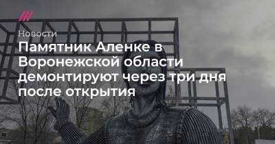 Памятник Аленке в Воронежской области демонтируют через три дня после открытия - tvrain.ru - Воронежская обл.
