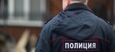 Жителя Петрозаводска отправили в колонию на два года за оскорбление сотрудников полиции - stolicaonego.ru - Петрозаводск - район Прионежский - республика Карелия