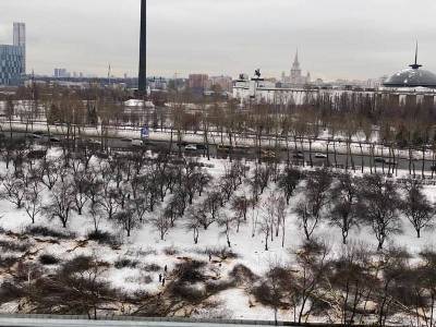 На месте строительства дублера Кутузовского проспекта началась вырубка исторического яблоневого сада - mskgazeta.ru - Москва