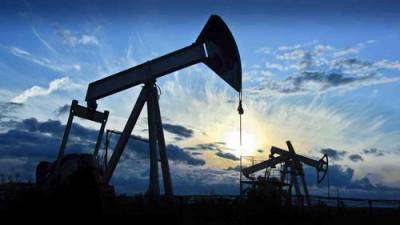 Александр Новак - Иран покушается на наше всё - часть нефтяных доходов России - argumenti.ru - Москва - Иран - Саудовская Аравия - Тегеран