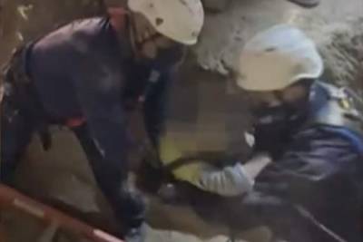 Четырехлетний ребенок упал в 13-метровый колодец и провел там несколько часов - lenta.ru - Техас - USA - Houston