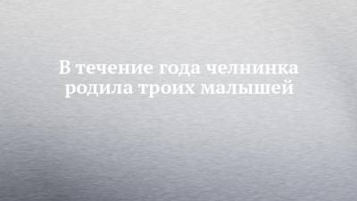 В течение года челнинка родила троих малышей - chelny-izvest.ru