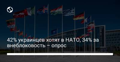 42% украинцев хотят в НАТО, 34% за внеблоковость – опрос - liga.net - Голландия