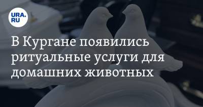 В Кургане появились ритуальные услуги для домашних животных - ura.news