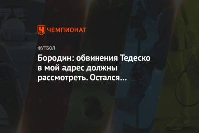 Доменико Тедеско - Дмитрий Бородин - Бородин: обвинения Тедеско в мой адрес должны рассмотреть. Остался неприятный осадок - championat.com - Сочи