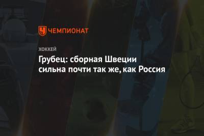 Шимон Грубец - Грубец: сборная Швеции сильна почти так же, как Россия - championat.com - Швеция - Финляндия - Чехия