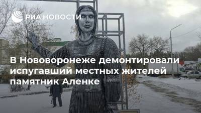 В Нововоронеже демонтировали испугавший местных жителей памятник Аленке - ria.ru - Воронеж