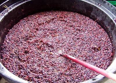 Как сделать чачу из виноградного жмыха в домашних условиях - skuke.net