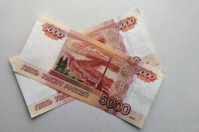 Житель Йошкар-Олы получил за ноутбук фальшивые деньги - mk.ru - Волжск - Йошкар-Олы