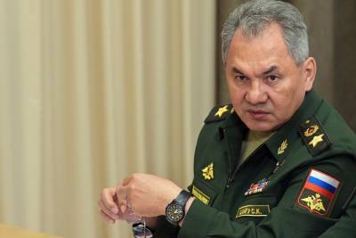 Сергей Шойгу - Шойгу заявил о наращивании НАТО военной угрозы у границ России - newzfeed.ru - США