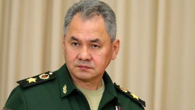 Сергей Шойгу - Шойгу: российские военные выступают гарантом мира в Сирии - nation-news.ru - Москва - Сирия