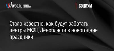 Стало известно, как будут работать центры МФЦ Ленобласти в новогодние праздники - ivbg.ru - Ленинградская обл.