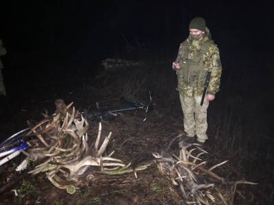 В Чернобыльской зоне поймали двух украинцев и белоруса с рогами - news.bigmir.net - Киевская обл. - Белоруссия