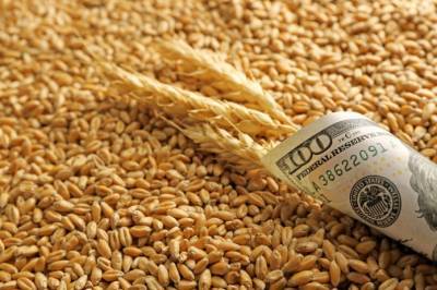 Экспорт зерна из Украины превысил 24 млн т - agroportal.ua