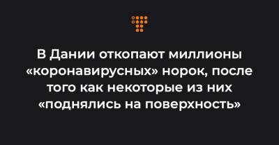 В Дании откопают миллионы «коронавирусных» норок, после того как некоторые из них «поднялись на поверхность» - hromadske.ua - Дания