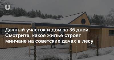Дачный участок и дом за 35 дней. Смотрите, какое жилье строят минчане на советских дачах в лесу - news.tut.by