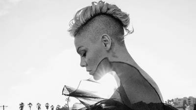 Певица Pink тяжело травмировалась, когда украшала имение к Рождеству - 24tv.ua
