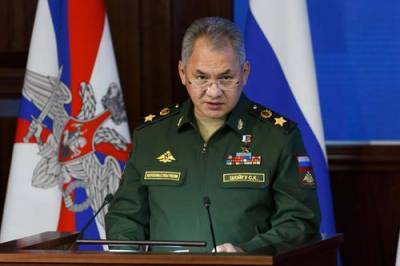 Сергей Шойгу - Россия продолжает формировать профессиональную армию - argumenti.ru