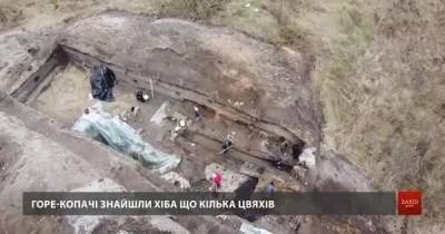 Вандали знищили археологічні розкопки середньовічного міста у Звенигороді на Львівщині - 24tv.ua - місто Львів