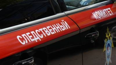 СК показал видео из подвала в Ленобласти, где нашли фрагменты расчлененного тела - 5-tv.ru - Ленинградская обл. - Санкт-Петербург - Следственный Комитет