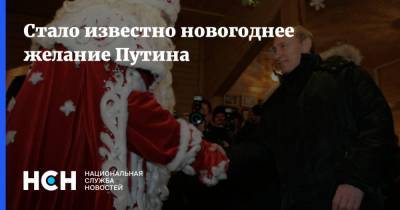 Владимир Путин - Валерий Каменский - Стало известно новогоднее желание Путина - nsn.fm - Челябинская обл.